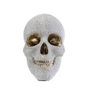 Money Box Skull Crystals