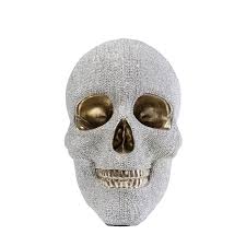 Money Box Skull Crystals